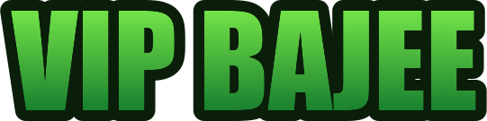 VIP Bajee Logo